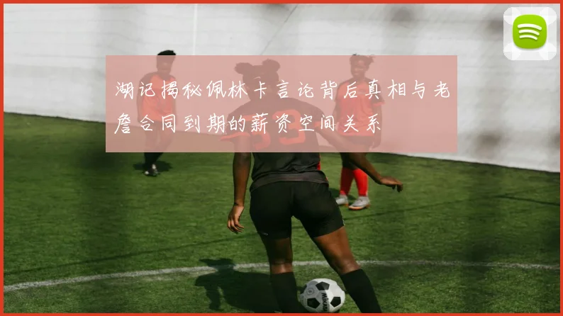 湖记揭秘佩林卡言论背后真相与老詹合同到期的薪资空间关系