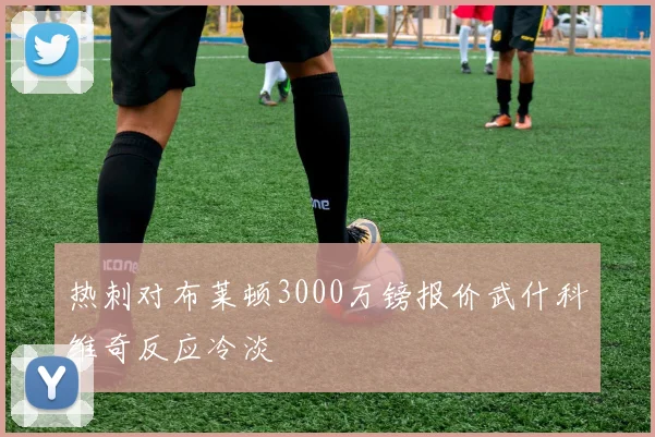 热刺对布莱顿3000万镑报价武什科维奇反应冷淡